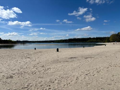 a sandy beach with a lake in the background at Chalet Drentse Lente in Gasselte