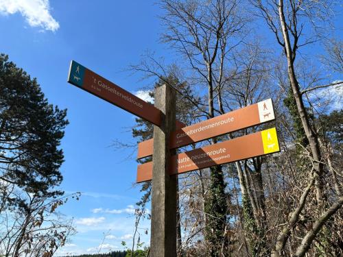 a wooden sign with several signs on a pole at Chalet Drentse Lente in Gasselte