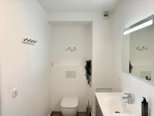une salle de bain blanche avec des toilettes et un lavabo dans l'établissement Vesle & Vignes au Cœur de Reims, à Reims