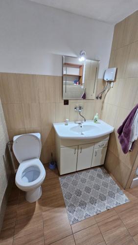 ヴィタノヴァにあるChata Ilonka Oraviceの白いトイレと洗面台のあるバスルーム