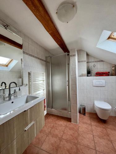 a bathroom with a sink and a shower and a toilet at Jägerhof und Jägerstadel in Schwangau