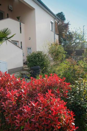 LAVANDA Apartman