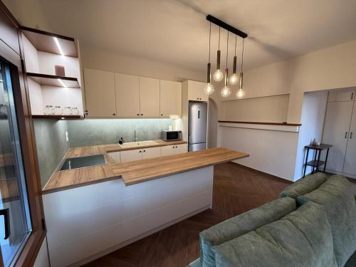 a kitchen with a counter top and a refrigerator at Domus verde in Káto Dhiminión