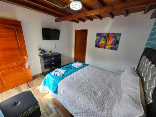 a bedroom with a bed and a television in it at Hostal la Divisa Salento in Arrayanal
