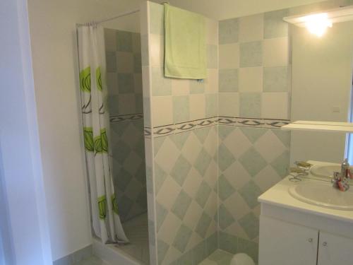 une salle de bain avec douche et lavabo dans l'établissement Gîte de vacances, à Saint-Michel-de-Fronsac