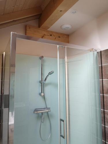 une douche avec une porte vitrée dans une salle de bain dans l'établissement Grand gîte des Marolais, à Mont-Saxonnex