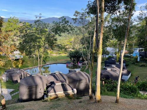 a group of elephants standing next to a pond at Grace Hill Villa Lubuk Minturun in Padang