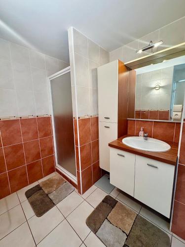 une salle de bain avec un lavabo et une douche dans l'établissement Appartement - Cap d'Agde Vue Port, au Cap d'Agde