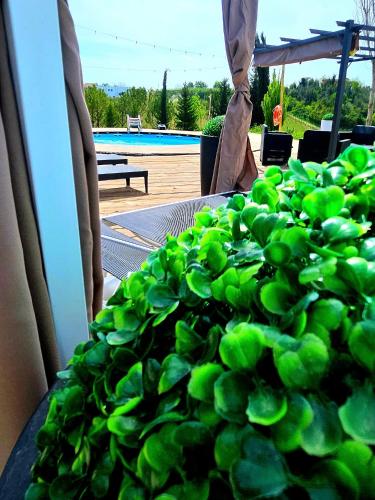 Сад в Chalet Collalto con Piscina