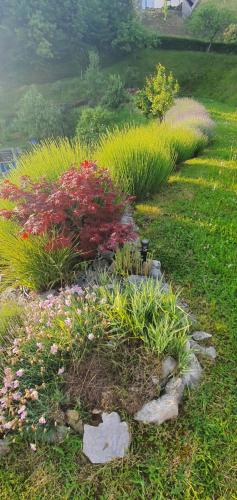 a garden with flowers and plants in the grass at Apartma Tomažič in Hrušica