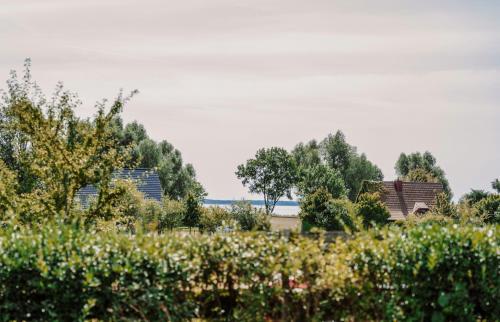 a field with trees and houses in the background at Ferienhäuser Insel Usedom Haus Jojo 7 - Blick aufs Achterwasser! Whirlpool und Sauna in Lütow
