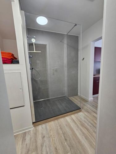a shower with a glass door in a bathroom at Ferienwohnung an der Alten Posthalterei in Bautzen