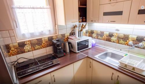 a kitchen with a sink and a microwave at Százszorszép Apartman in Mezőkövesd