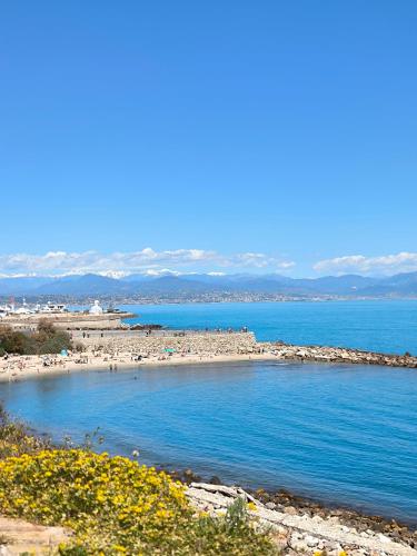 Photo de la galerie de l'établissement SELI 2 pièces Classé 52 M2 terrasse 20m2 Plages Piscine Antibes Juan Parking, à Antibes