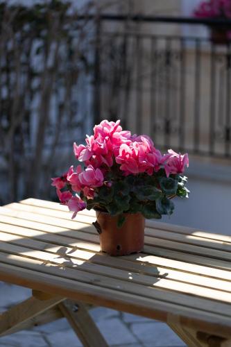 a pot of pink flowers sitting on a table at Kallisti Beach & Spa Villa - A Luxury Seaside Retreat in Lachi