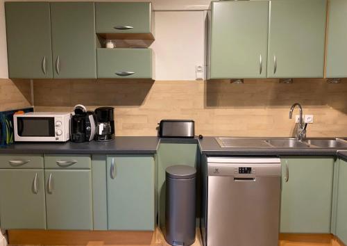 eine Küche mit grünen Schränken, einer Spüle und einer Mikrowelle in der Unterkunft Appartement La Foncière in Saint-Lary-Soulan