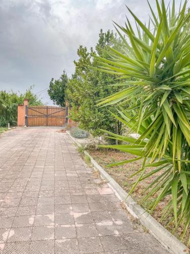 a palm tree on the side of a road at Accomodation in villa with pool & parking near Rome in Fiano Romano