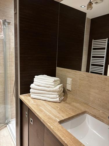 O baie la Apartament Bałtycka