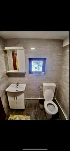 a bathroom with a white toilet and a sink at Ethno Cottage Momo Tepca in Žabljak