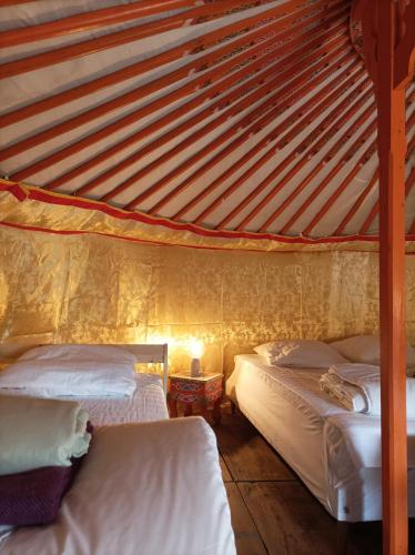 une chambre avec deux lits et un plafond en bois dans l'établissement Au Chat qui Pêche, à Thenay