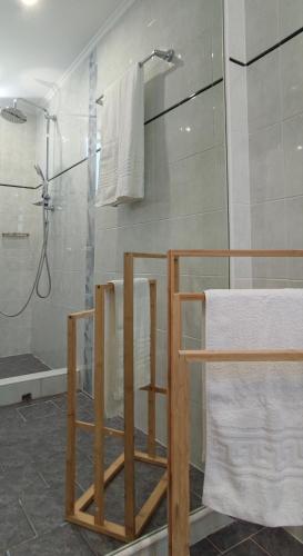 a bathroom with a shower and a towel rack at Chrysiis House 2 in Maltezana