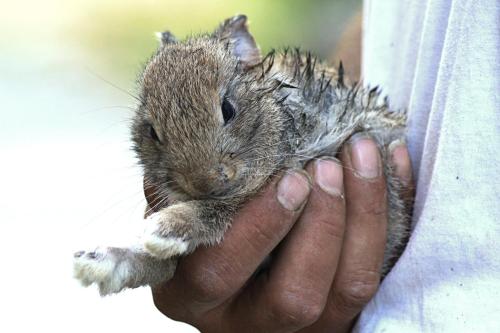 a person holding a small animal in their hand at B&B La Villa in Giardini Naxos