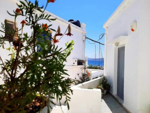 Matilda's studio in the port of Adamas