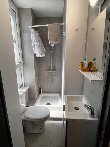 une salle de bain avec une douche, des toilettes et un lavabo dans l'établissement Studio Lorient Proche Centre Gare Wifi Netflix, à Lorient