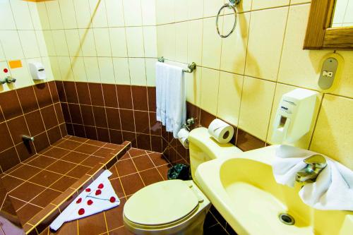 蒙特韋爾德哥斯達黎加的住宿－翠柏酒店，一间带卫生间和水槽的浴室