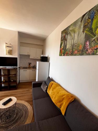 un salon avec un canapé et une cuisine dans l'établissement Studio Lorient Proche Centre Gare Wifi Netflix, à Lorient