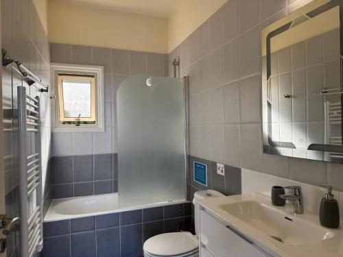 a bathroom with a sink and a toilet and a mirror at Beach villa Gladiolus in Neo Chorio
