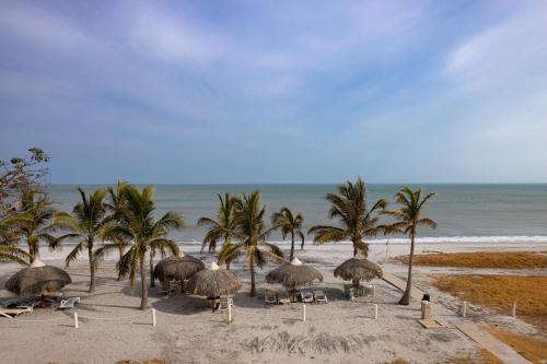 a group of straw umbrellas on a beach with palm trees at Sanctuary by Playa Caracol Frente al Mar in Punta Chame