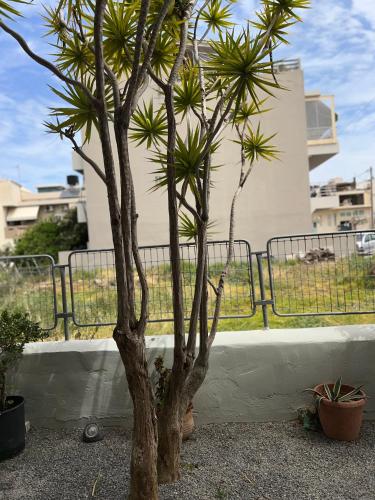 Gambar di galeri bagi Maria's house di Heraklion