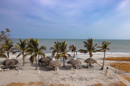 a group of trees and straw umbrellas on the beach at Sanctuary by Playa Caracol Frente al Mar in Punta Chame