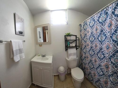a bathroom with a toilet and a sink at Brisas de Campo in Aguadilla