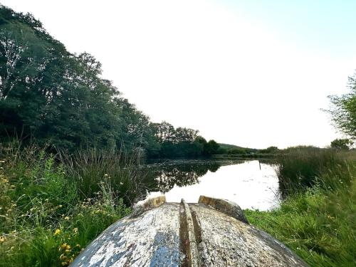 a boat in the middle of a body of water at Aux Détours de l'Étang La Bergerie et sa piscine privative in Château-Chervix