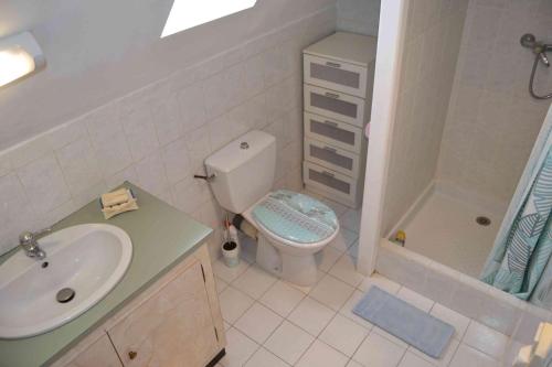 une salle de bain avec un lavabo, des toilettes et une douche dans l'établissement Maison familiale de campagne, à Marsaneix