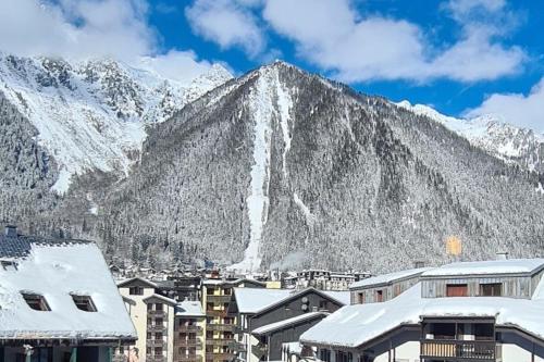 Photo de la galerie de l'établissement Le studio du Cerf, à Chamonix-Mont-Blanc