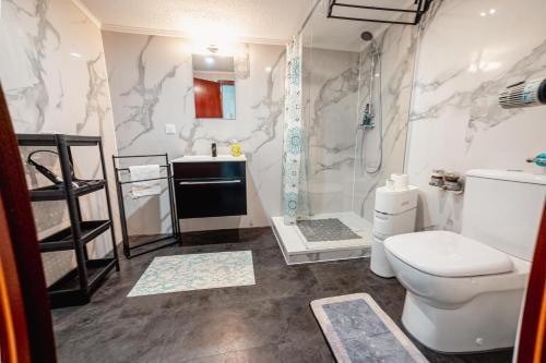 een badkamer met toilet en wastafel bij Moderner Altbau für 3 in Maagdenburg