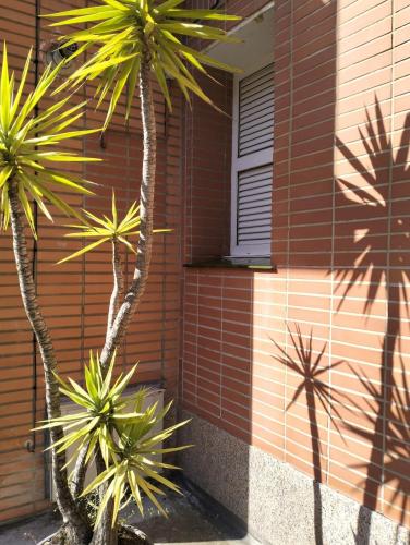 Apartment with separate entrance and private parking