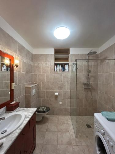 une salle de bain avec une douche, un lavabo et des toilettes dans l'établissement Maison de ville, Gien centre, à Gien