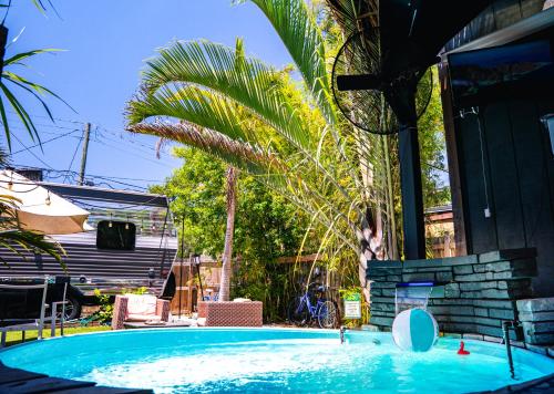 セント・ピーターズバーグにあるWorld Solo Travel's Welcomed At St Pete Homeのヤシの木を背景にした大型スイミングプール