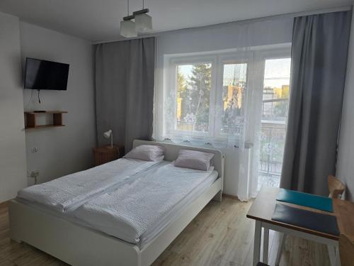 a bedroom with a bed and a large window at Pokoje Gościnne Elżbieta Chylińska in Krynica Morska