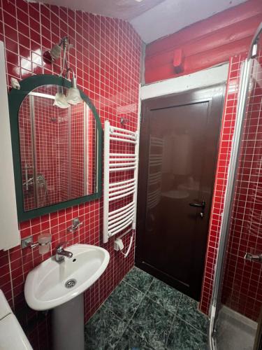 a red tiled bathroom with a sink and a shower at Breza in Žabljak