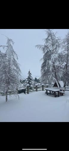a snow covered park with a picnic table and trees at Breza in Žabljak