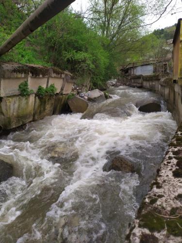 Un paisaje natural cerca del departamento
