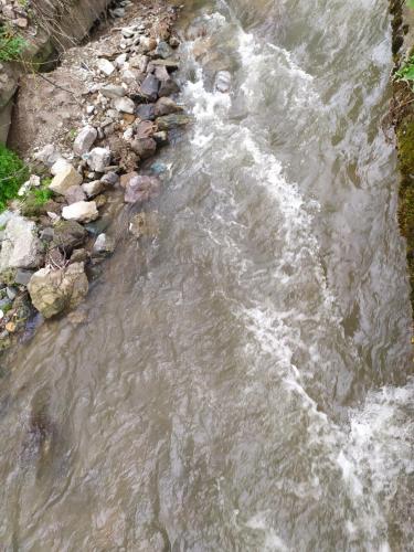 Un paisaje natural cerca del departamento