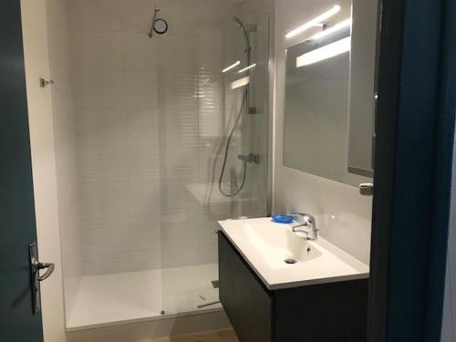 La salle de bains est pourvue d'un lavabo et d'une douche. dans l'établissement appartement 50 m plage st Jean de Monts, à Saint-Jean-de-Monts