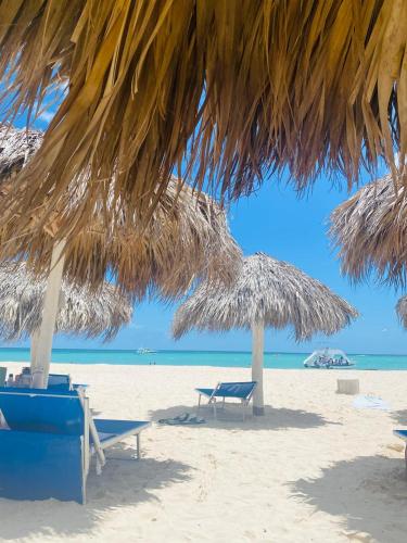 Tropical del caribe , Acceso Directo a la Playa, Wifi, Parking