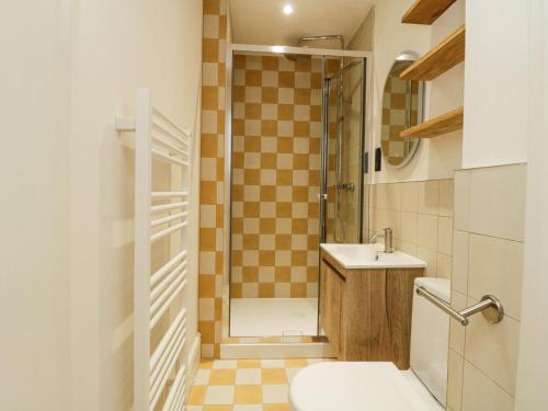 a bathroom with a shower and a toilet and a sink at Garden flat on The Hoe - Tamar in Plymouth